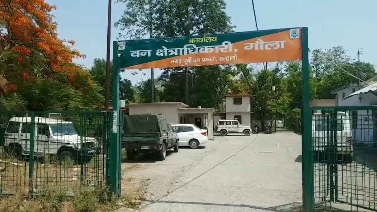 1200 675 24809325 thumbnail 16x9 bird