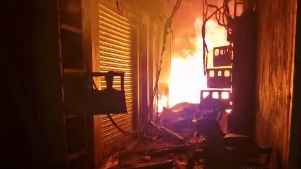 1200 675 24822246 566 24822246 1755330795384