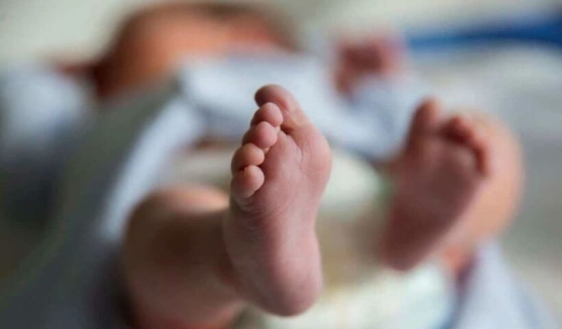 1200 675 24921008 thumbnail 16x9 pic