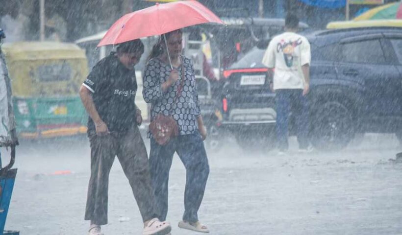 Pi7compressed1200 675 24865608 thumbnail 16x9 bhggg