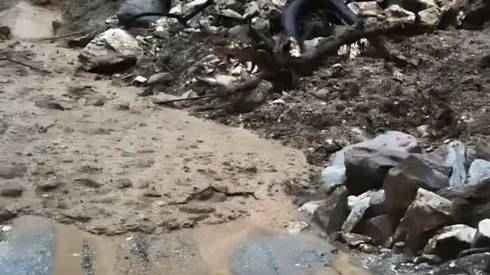 Pi7compressedn6787606581756449536769e9c6b2177542dfea5bfd4dd3566b7be54befd2f489e2129a2c822c5c4cd400ce 1