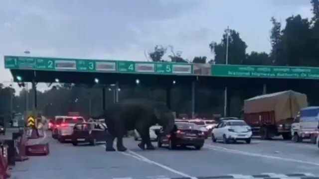 n6761628701754801421641fd9cab186ba5bee56b88f48cb71e5d943b70f1de603552a5ef8a4421b58f9a14