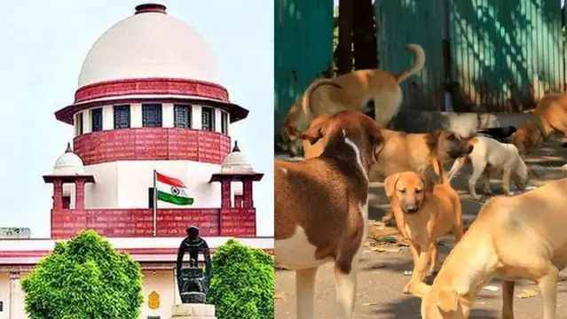 n676321337175491450340184f0b6ec5d82a434420945ff368d6093280233a2b98941a2d342ff311c80bfa8