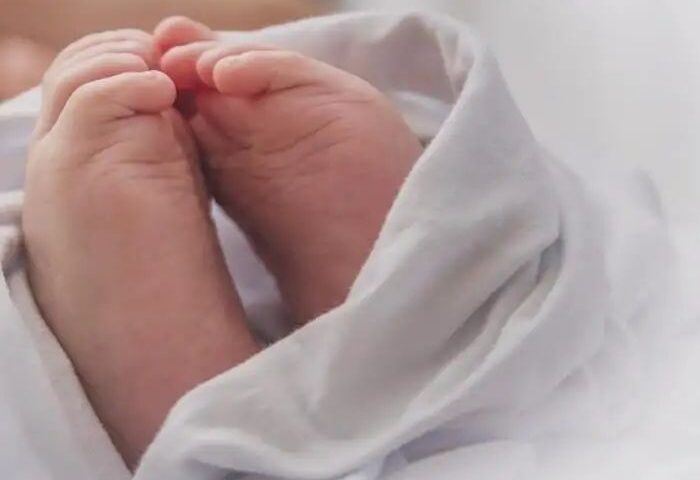 n6763888101754979430754ff294880f5e7f761f8e81b2778b7b98b269226eb289e4353b8424f2dbf301f0f