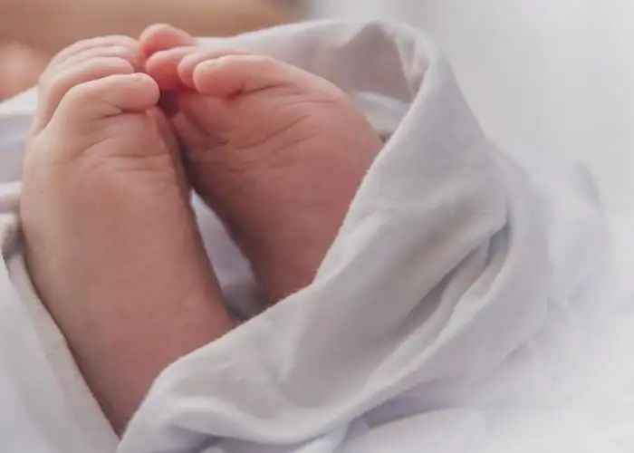 n6763888101754979430754ff294880f5e7f761f8e81b2778b7b98b269226eb289e4353b8424f2dbf301f0f