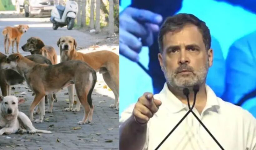 n67655858217550603091180e32df5f06a0ef5aa5a2283a8245838e05a60a1ff6a7c6ca2a3cd05f7dc75734