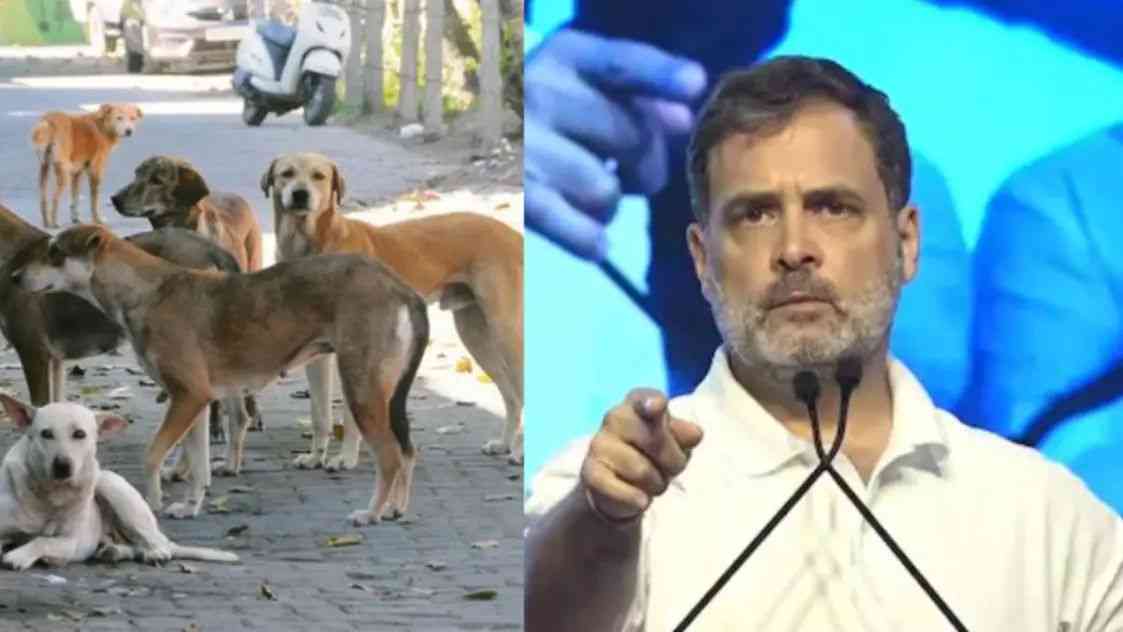 n67655858217550603091180e32df5f06a0ef5aa5a2283a8245838e05a60a1ff6a7c6ca2a3cd05f7dc75734