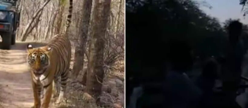 n677329120175557245699730900fe53a3f70d5fe260df8b0620fe8a849abf8fe5ff58c68df06bfea5d80ad