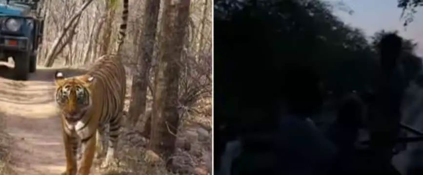 n677329120175557245699730900fe53a3f70d5fe260df8b0620fe8a849abf8fe5ff58c68df06bfea5d80ad