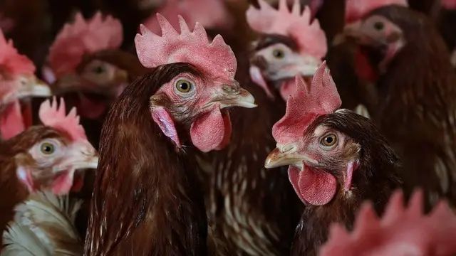 n6775059441755660181838dd4aa217a111d519358a37d491a9bf48bcf03091d9ede02b0e497be4967dfe72