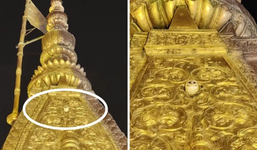 n67767833717557736074356e76e739c38ed2b08973b9cd2105a23cb0bf28ab6b03b0a3bbf78b2ca18302fa