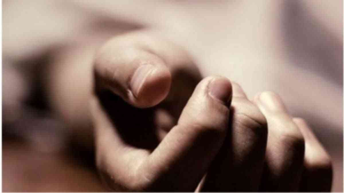 1200 675 25011136 thumbnail 16x9 hg