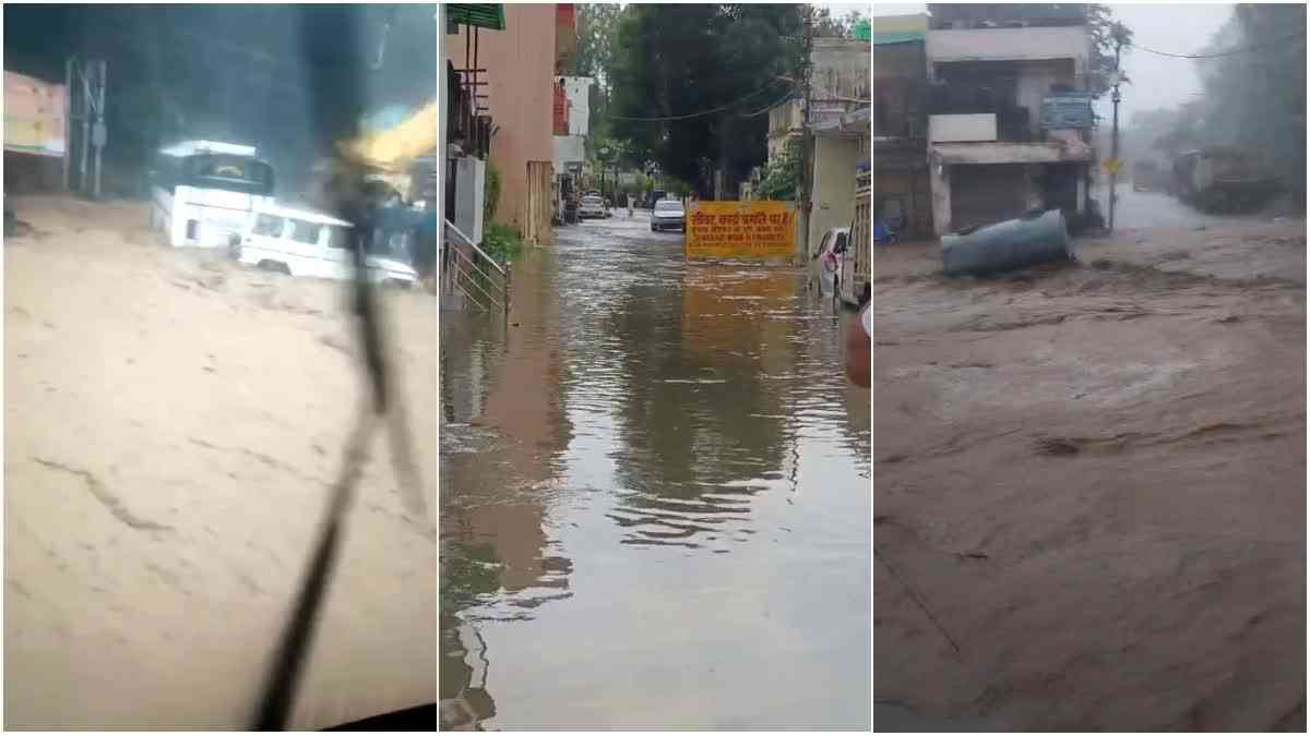 1200 675 25011579 thumbnail 16x9 hg