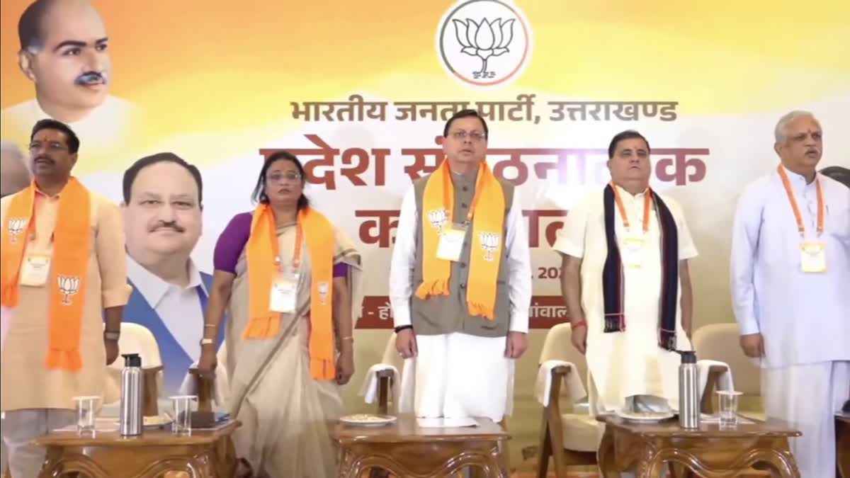 1200 675 25076676 thumbnail 16x9 ned