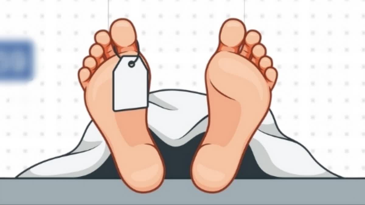 1200 675 25116653 thumbnail 16x9 murder d