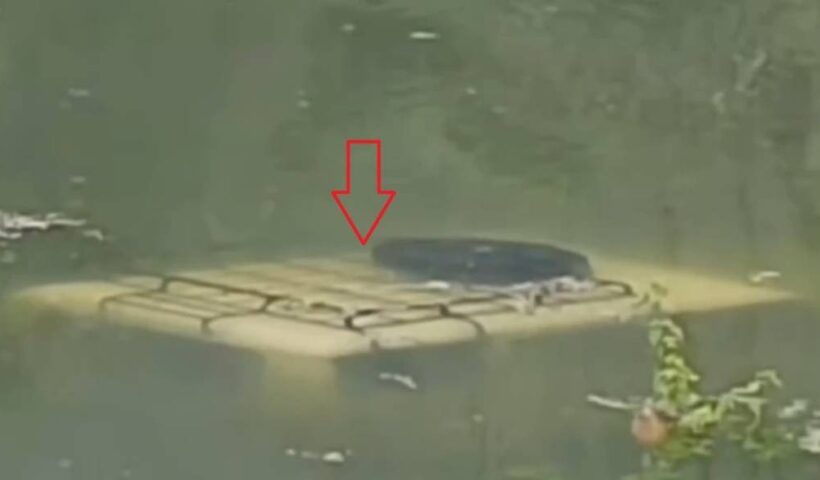 Pi7compressed1200 675 24947871 thumbnail 16x9 jhggf