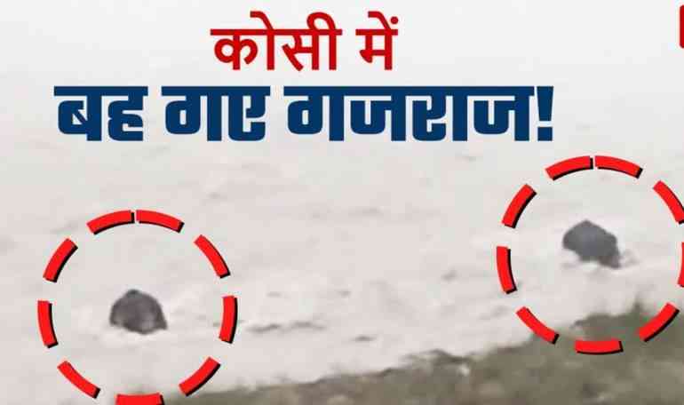 Pi7compressedIMG 20250902 151659