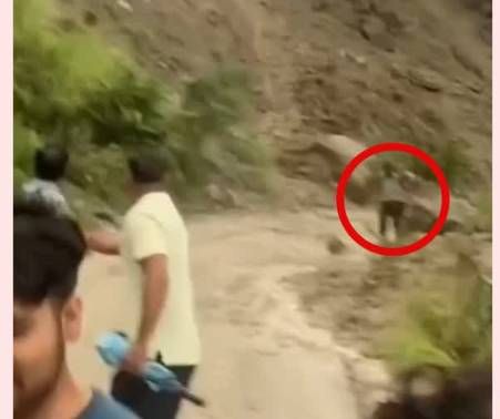 Viral Video- Your soul will tremble after watching this video