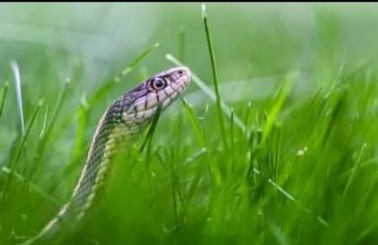 Pi7compressedScreenshot 20250903 142608 Dailyhunt