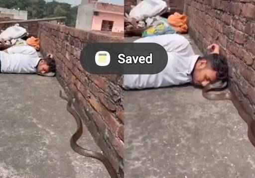 Pi7compressedScreenshot 20250927 153835 Dailyhunt