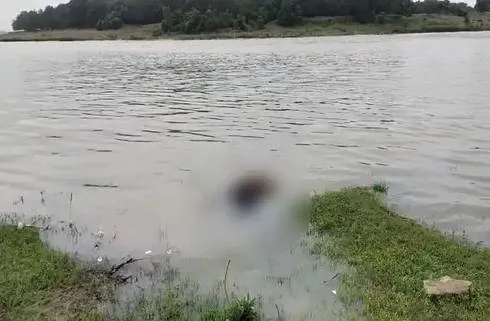 Pi7compressedn68028652117574117886218b2836865c952a1436a7df0f1e074a68fa208b07467dcc10b9f82ca5e205ca83