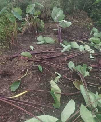 Screenshot 2025 0917 065810