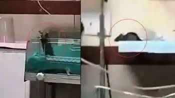 n6795248551756975814186cb76c829f5f3af9b0946ef9b262bde3d62253a6697ade9effde6128567dc8173