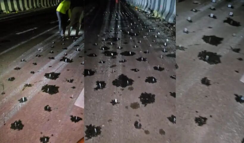 n680436663175750525223521b66431cf1220d74df8084a68c9169044c8820c1f576a3b902dc9a75691fbca