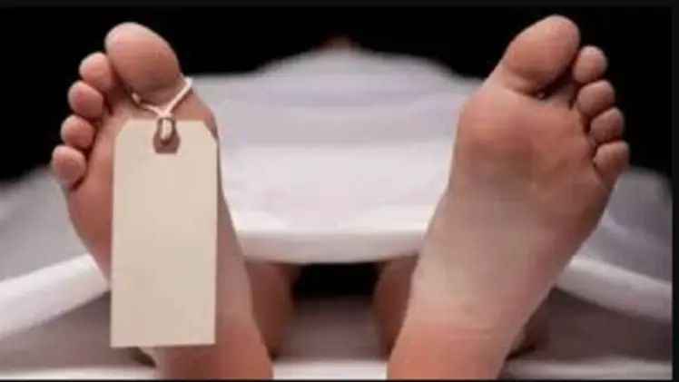 n68058885017575793831288700126b0b8ff8194db4c63061d8dc198c842c24332059fb7bc7c05646565415