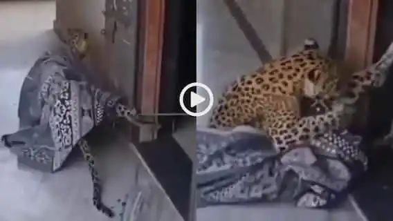 n68282925117590351939766720f2f87770381b221a8663aedcaf6578316c742801332c01a71cb9fbdd1873