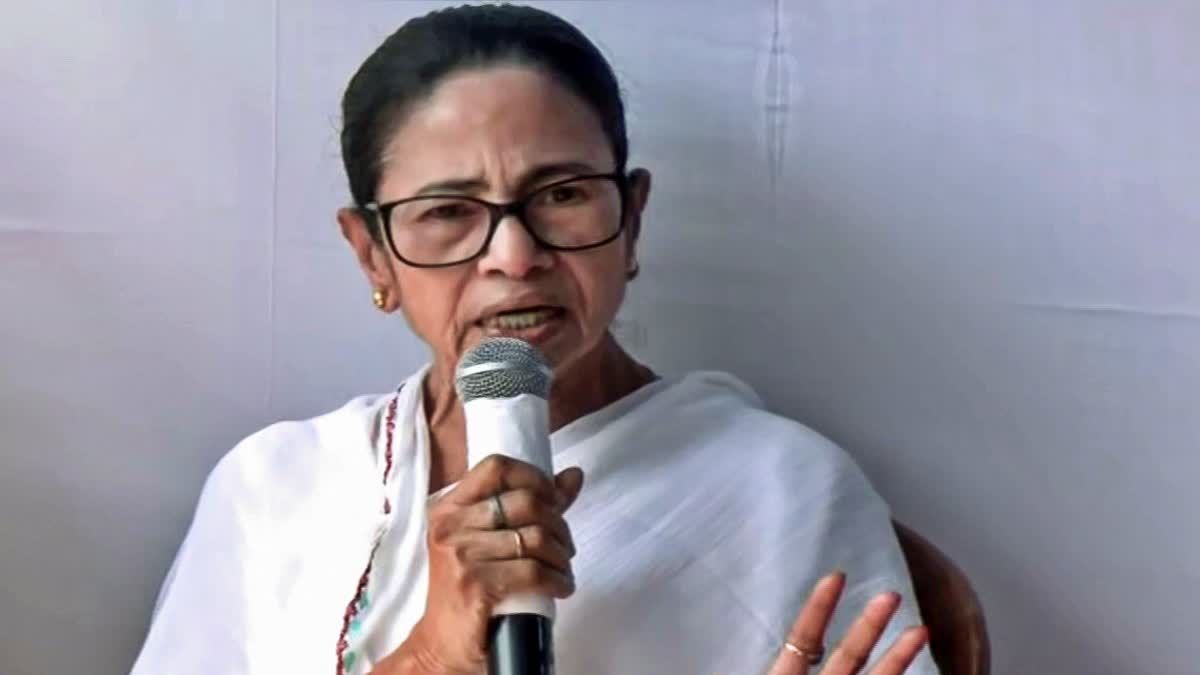 1200 675 25193111 thumbnail 16x9 mamata 1