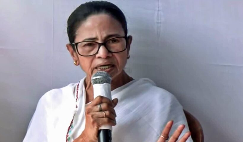 1200 675 25193111 thumbnail 16x9 mamata