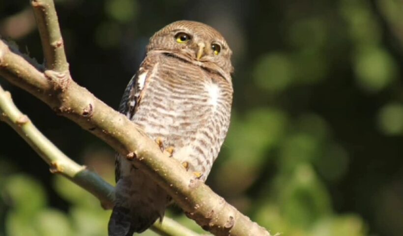 1200 675 25202406 thumbnail 16x9 hg 1