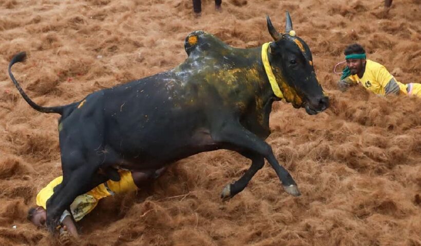 1200 675 25268139 thumbnail 16x9 bul