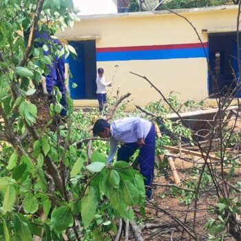 IMG 20251011 WA0032 350x350 1