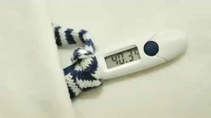 Screenshot 20251012 175222 Dailyhunt