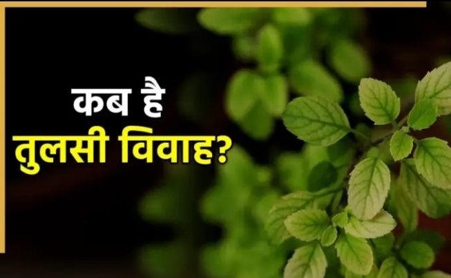 Screenshot 20251028 131821 Dailyhunt