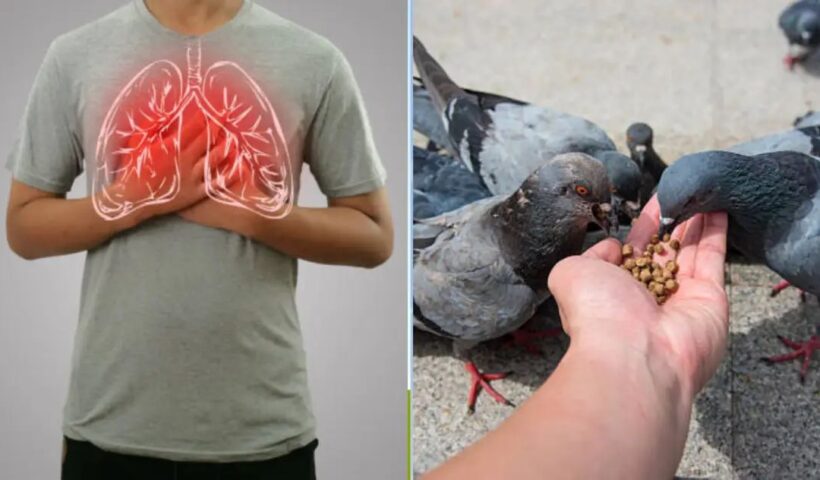 n6863423091761721369623f08725e39016db7d043976a311beb68adfc4248d34f693aa6e6b63d59deb9ca4