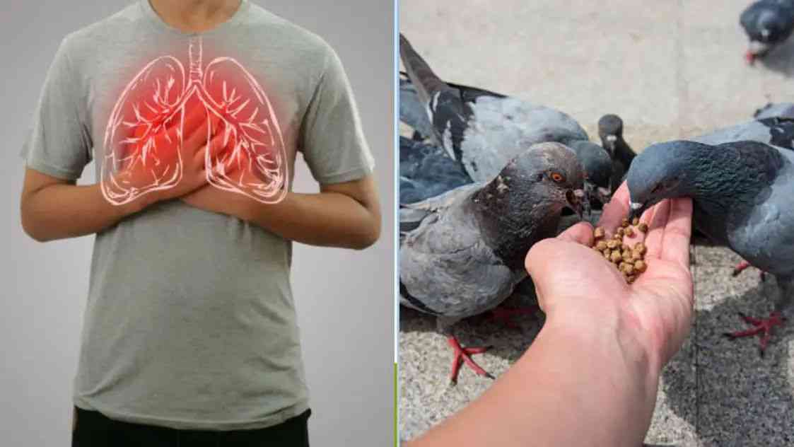 n6863423091761721369623f08725e39016db7d043976a311beb68adfc4248d34f693aa6e6b63d59deb9ca4