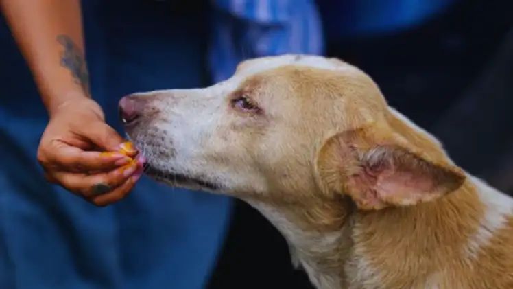 n686764641176165071967392aa3adfc8b9b09e49aab56a3745c8030d2474025cdd1de1ddb76898d1f71dfb