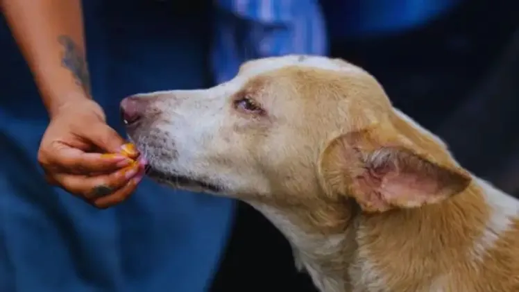 n686764641176165071967392aa3adfc8b9b09e49aab56a3745c8030d2474025cdd1de1ddb76898d1f71dfb