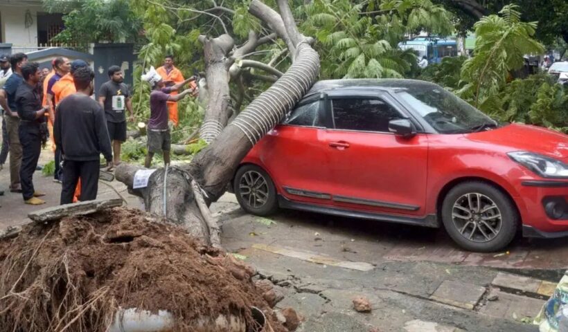 n68684523017617186563321146f22cb9f61eb0d1ea231819010774864ead522dbe18f87b4067bf70b4d837