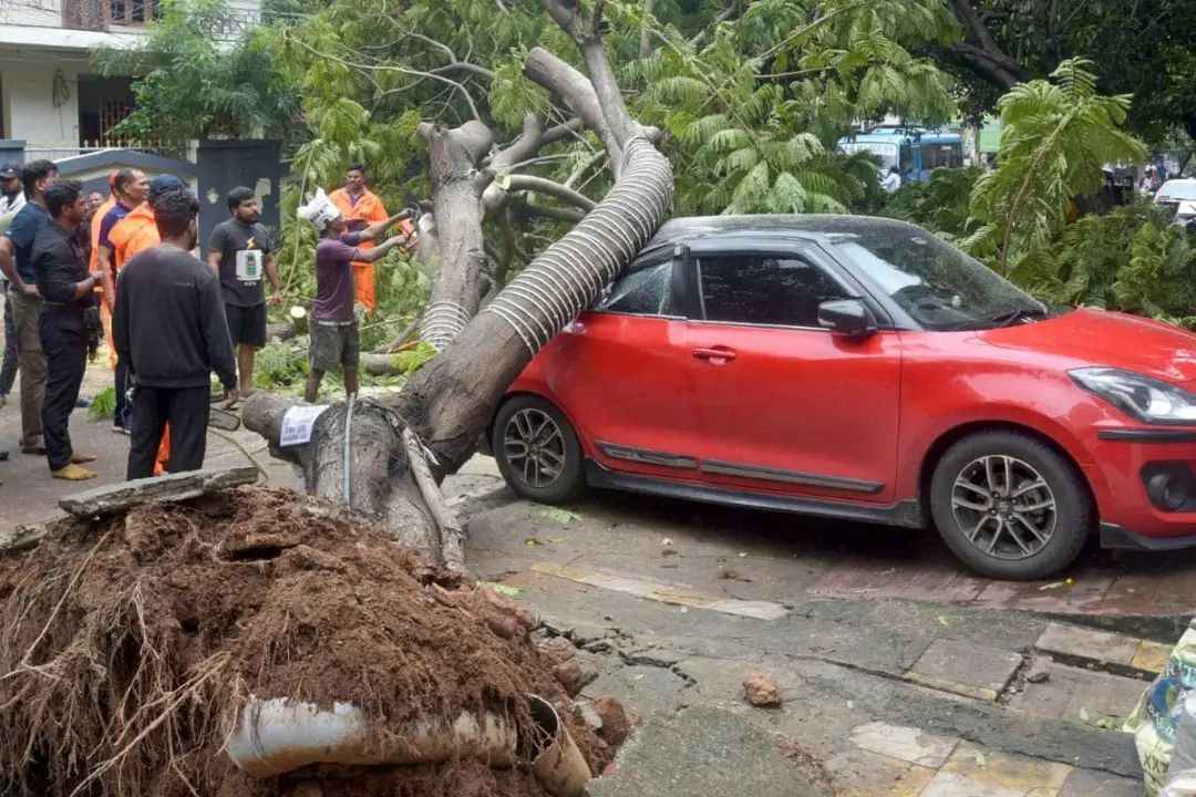 n68684523017617186563321146f22cb9f61eb0d1ea231819010774864ead522dbe18f87b4067bf70b4d837