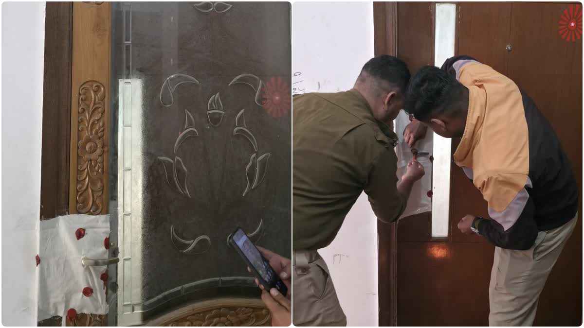 1200 675 25389797 thumbnail 16x9 seal