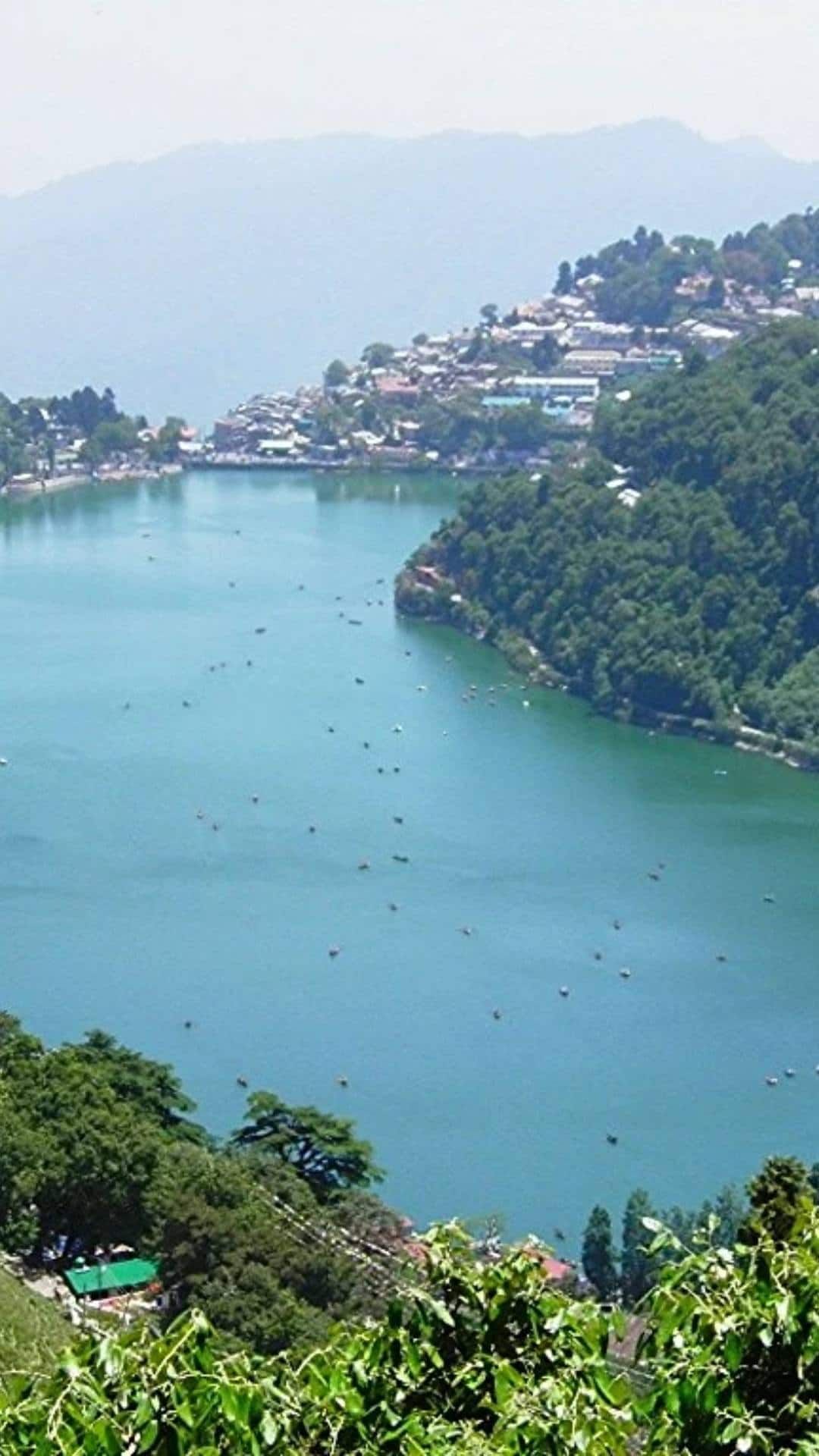 279cd2184066bb109b52ba6f7476a44b1737961583140869 0