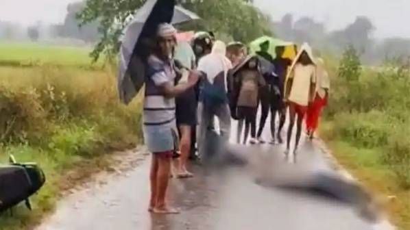 Pi7compressedn6871597621761983357445159db87d261e1013441e1c06e28972f7a451d7d17f966cf2e8d2cf7bb97e7b62