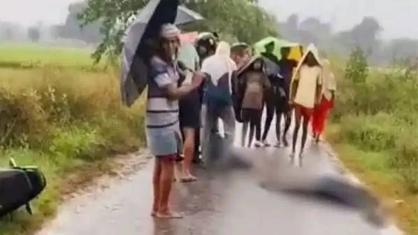 Pi7compressedn6871597621761983357445159db87d261e1013441e1c06e28972f7a451d7d17f966cf2e8d2cf7bb97e7b62