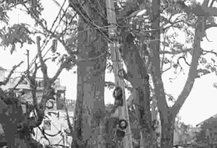 Screenshot 2025 1114 074504