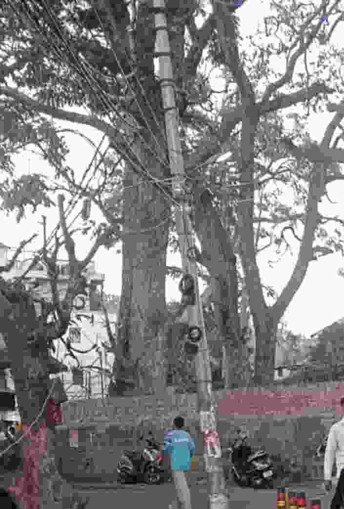 Screenshot 2025 1114 074504