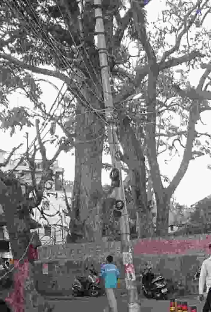 Screenshot 2025 1114 074504